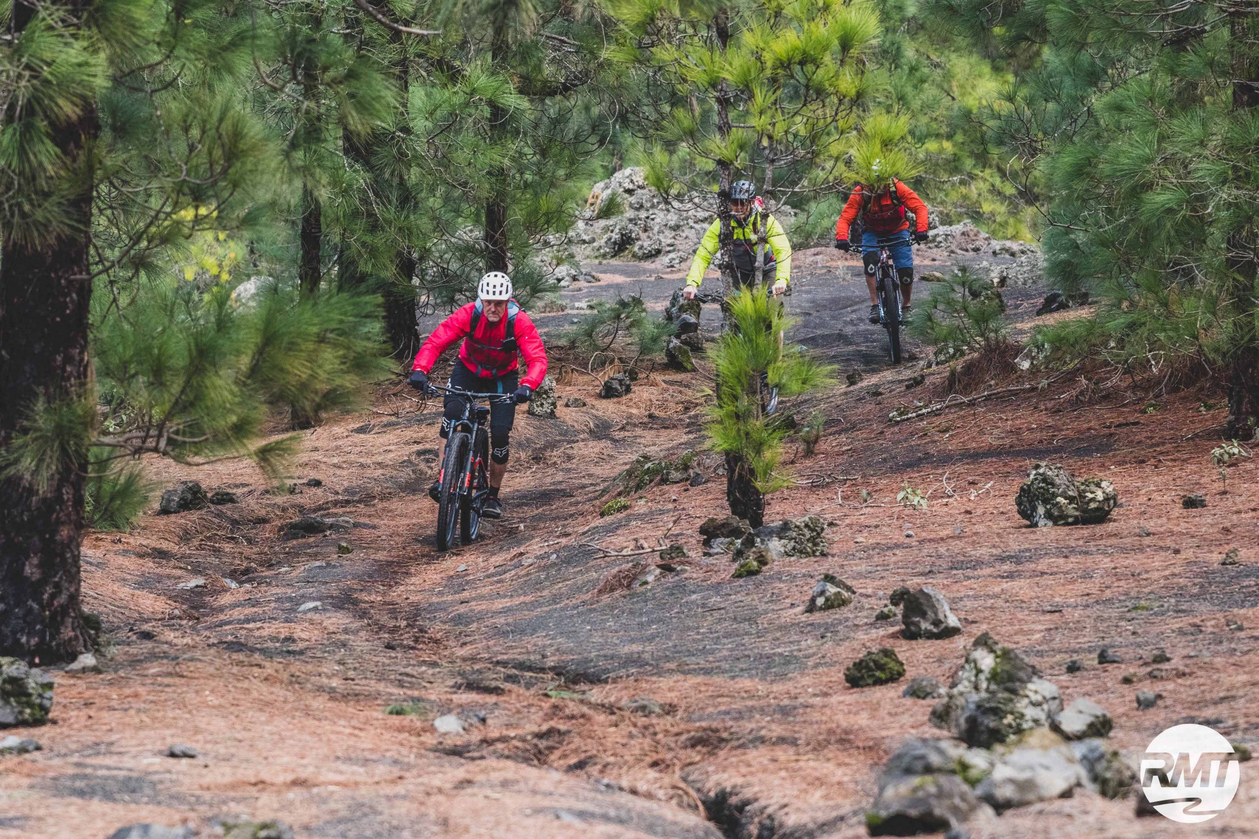 MTB Trail-Urlaub auf La Palma - Isla Bonita - Kanaren _Rock my Trail Bikeschule GmbH