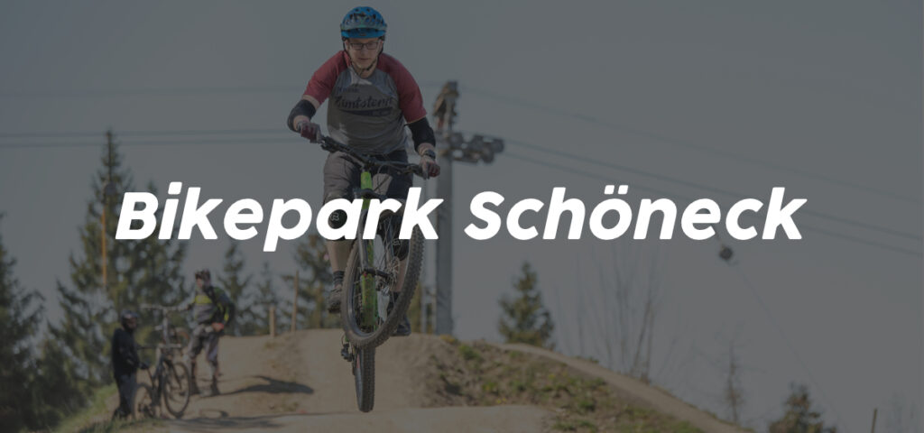 MTB und eBike Fahrtechnik Kurse in Sachsen Bikepark Schöneck Rock my Trail