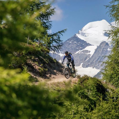 Trail-TransAlp mit vielen Trails Big Mountain AlpenCross Rock my Trail Bikeschule